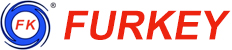 Bombas Co., Ltd. de Shandong Furkey